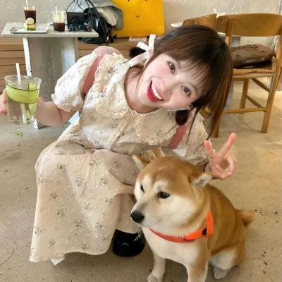 鳄鱼头黑煞星