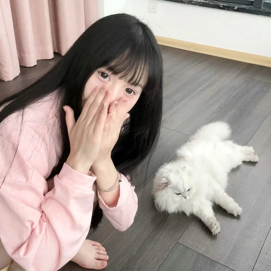 登场了!洛阳